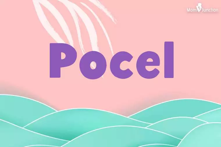 Pocel Stylish Wallpaper