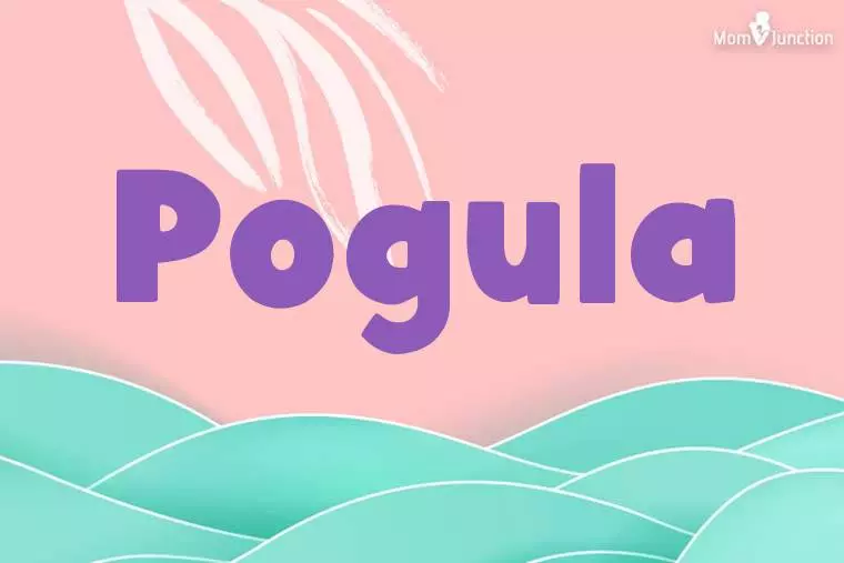 Pogula Stylish Wallpaper