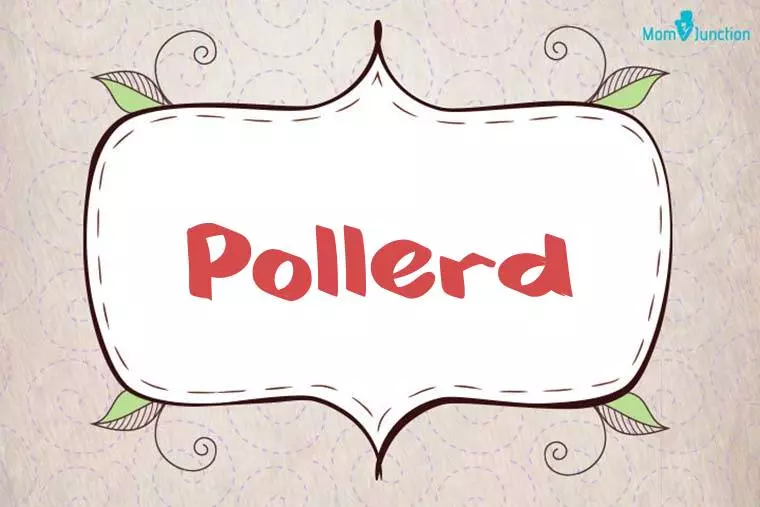 Pollerd Stylish Wallpaper