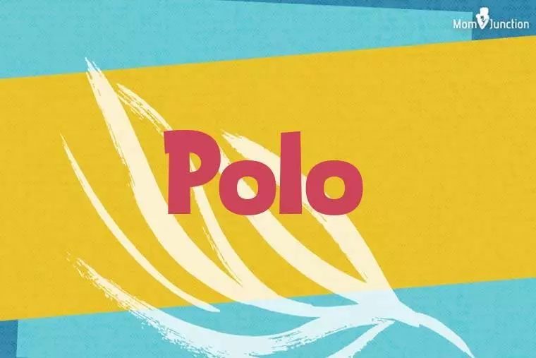 Polo Stylish Wallpaper