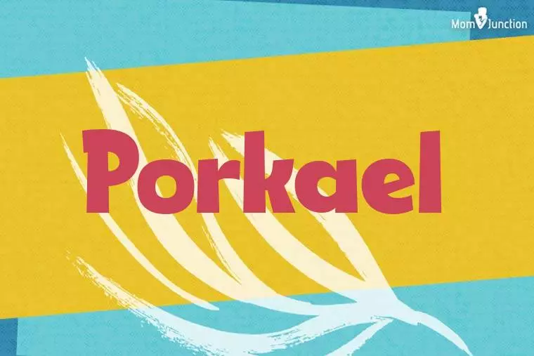 Porkael Stylish Wallpaper