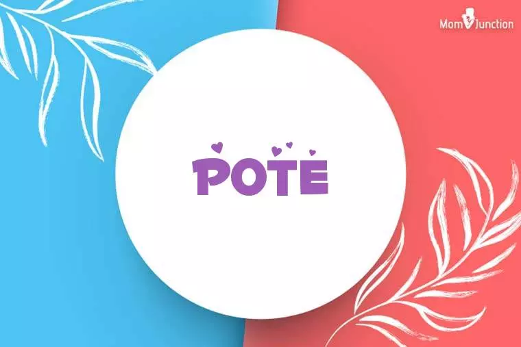 Pote Stylish Wallpaper