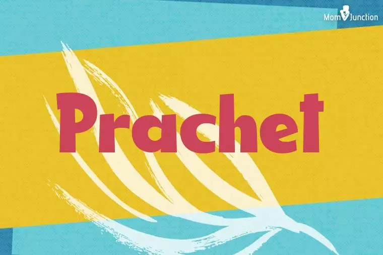 Prachet Stylish Wallpaper