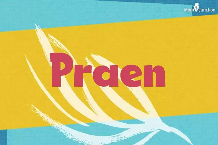 Praen Stylish Wallpaper