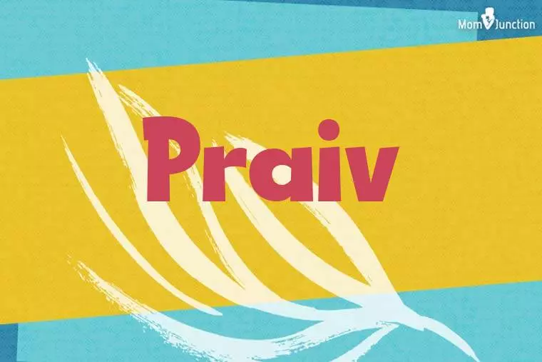 Praiv Stylish Wallpaper