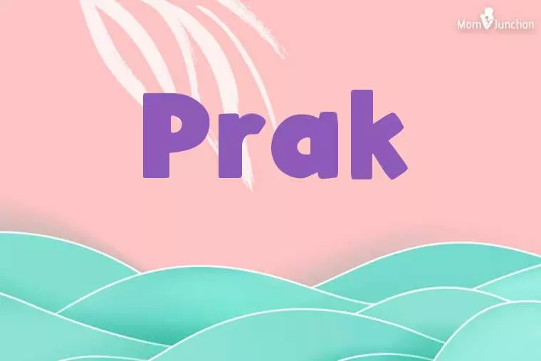 Prak Stylish Wallpaper