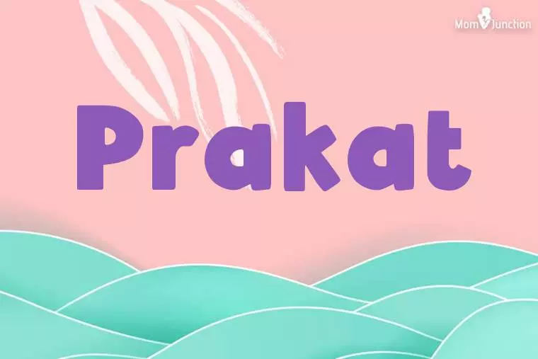 Prakat Stylish Wallpaper