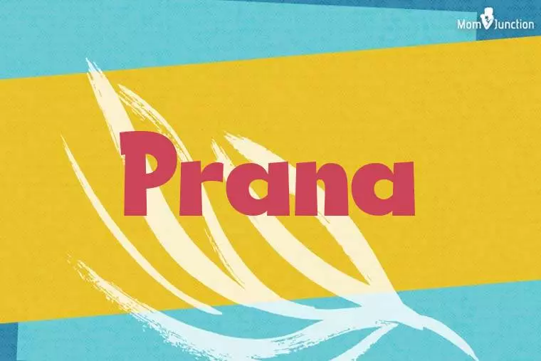 Prana Stylish Wallpaper