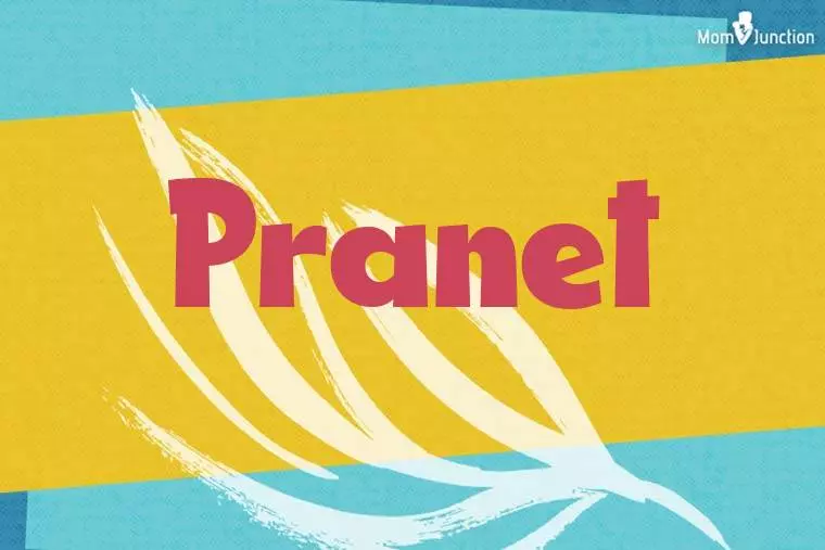 Pranet Stylish Wallpaper