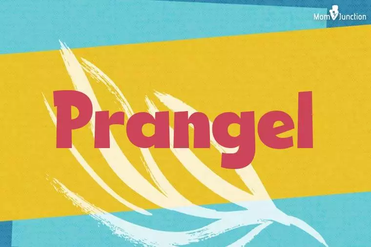 Prangel Stylish Wallpaper