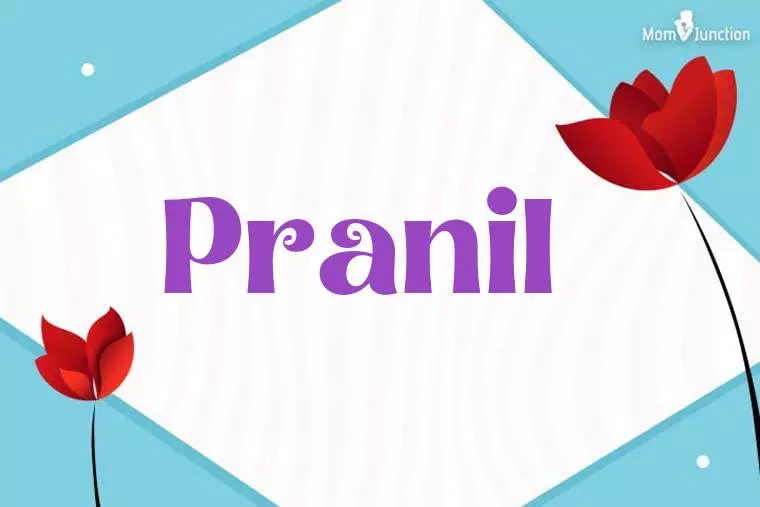 Pranil 3D Wallpaper