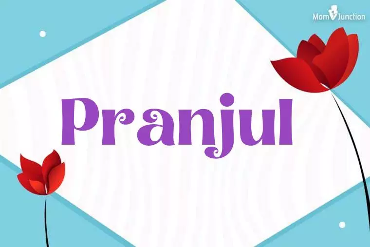 Pranjul 3D Wallpaper