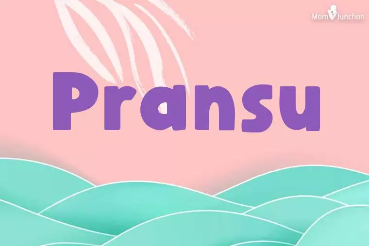 Pransu Stylish Wallpaper