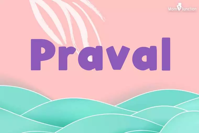 Praval Stylish Wallpaper