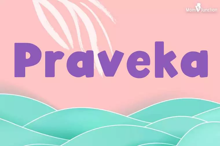 Praveka Stylish Wallpaper