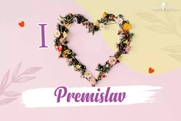 I Love Premislav Wallpaper