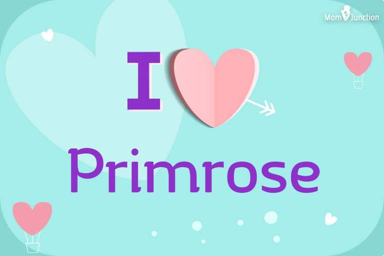 I Love Primrose Wallpaper
