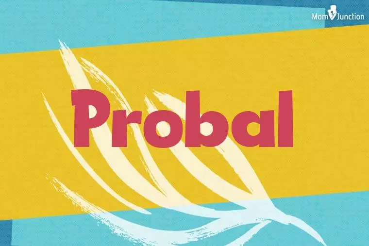 Probal Stylish Wallpaper