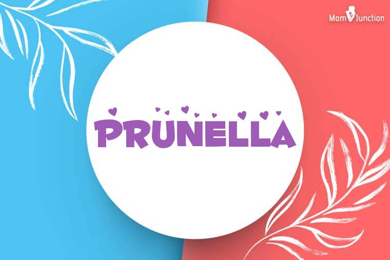 Prunella Stylish Wallpaper