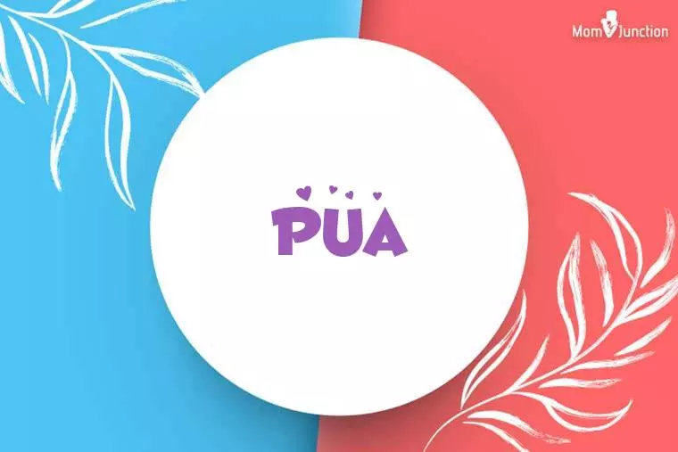 Pua Stylish Wallpaper