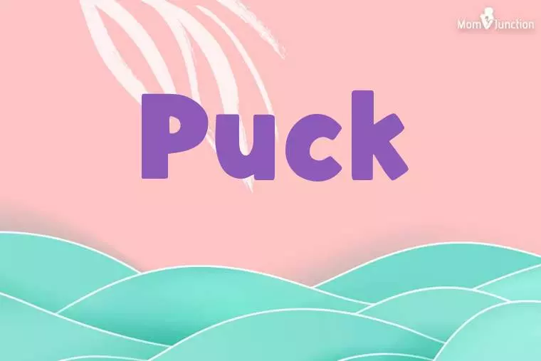 Puck Stylish Wallpaper