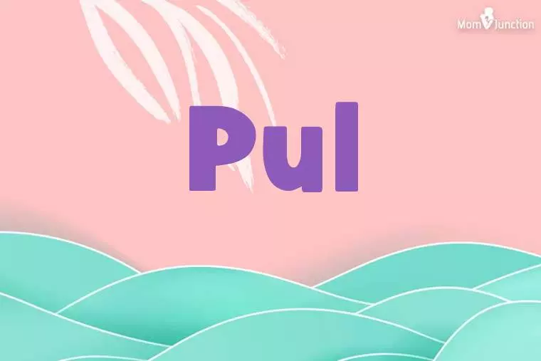 Pul Stylish Wallpaper