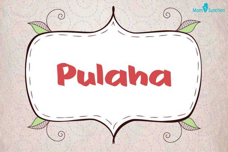 Pulaha Stylish Wallpaper