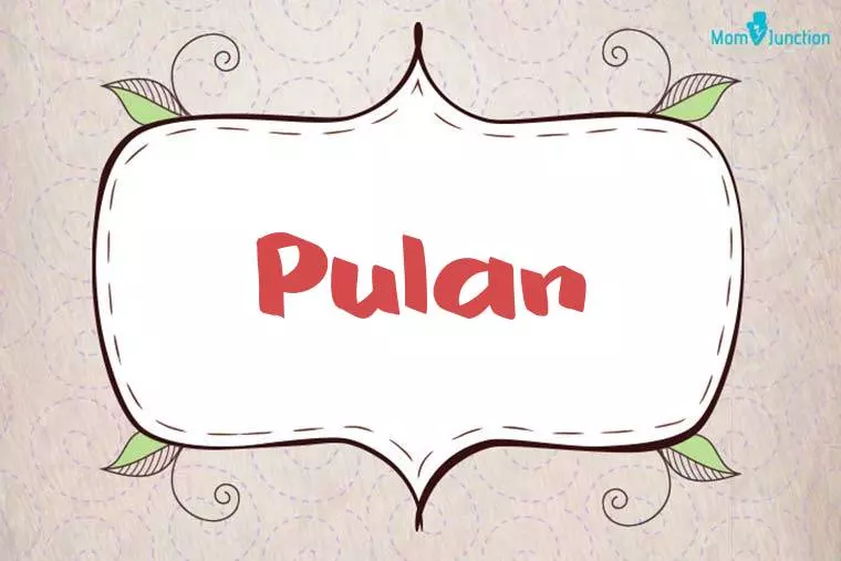 Pulan Stylish Wallpaper