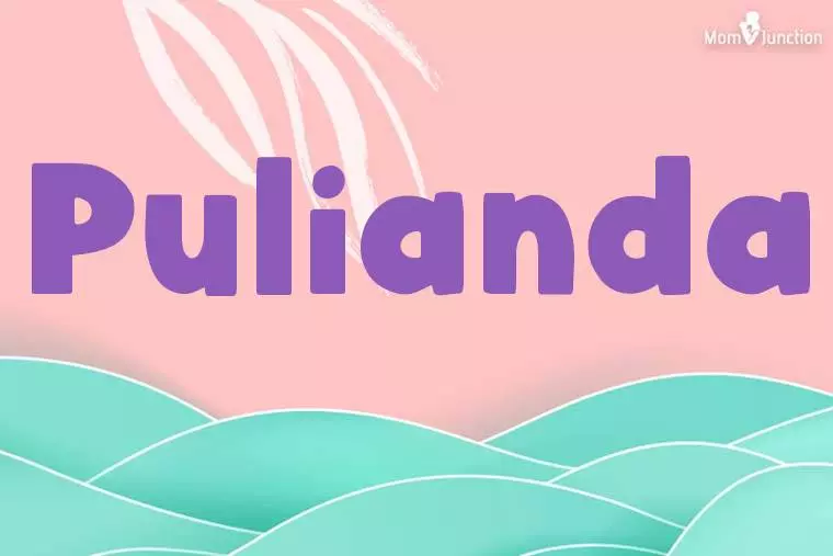 Pulianda Stylish Wallpaper