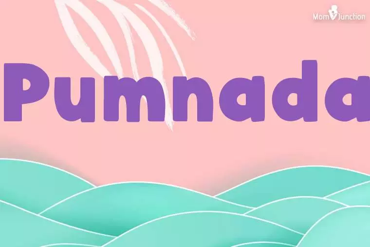 Pumnada Stylish Wallpaper