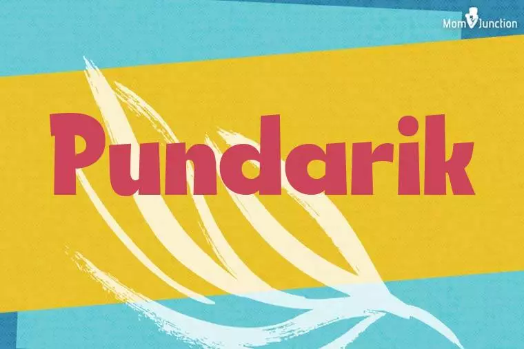 Pundarik Stylish Wallpaper