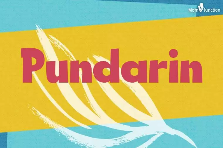 Pundarin Stylish Wallpaper