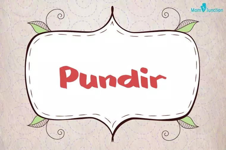 Pundir Stylish Wallpaper