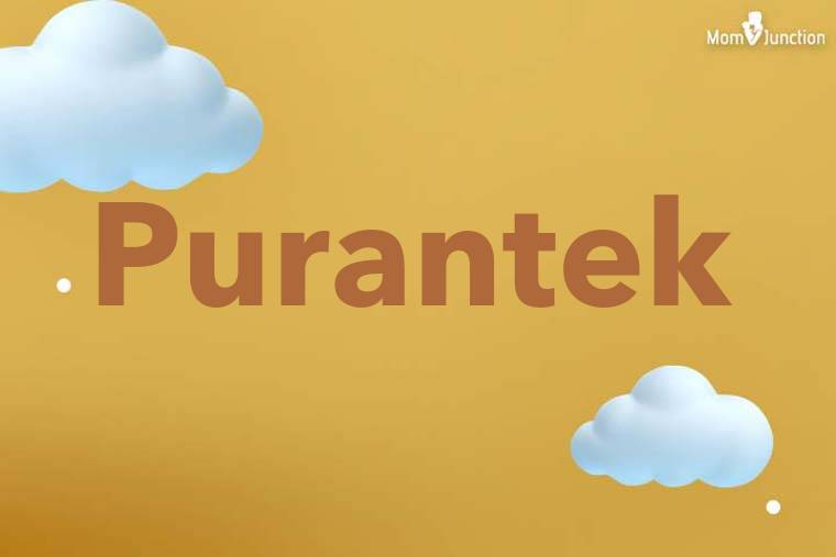 Purantek 3D Wallpaper