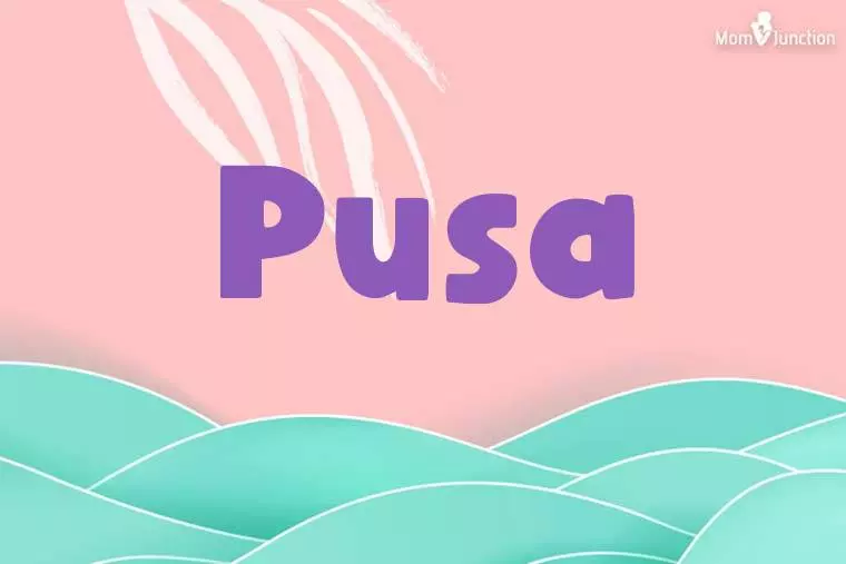 Pusa Stylish Wallpaper