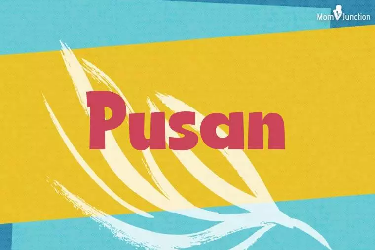 Pusan Stylish Wallpaper