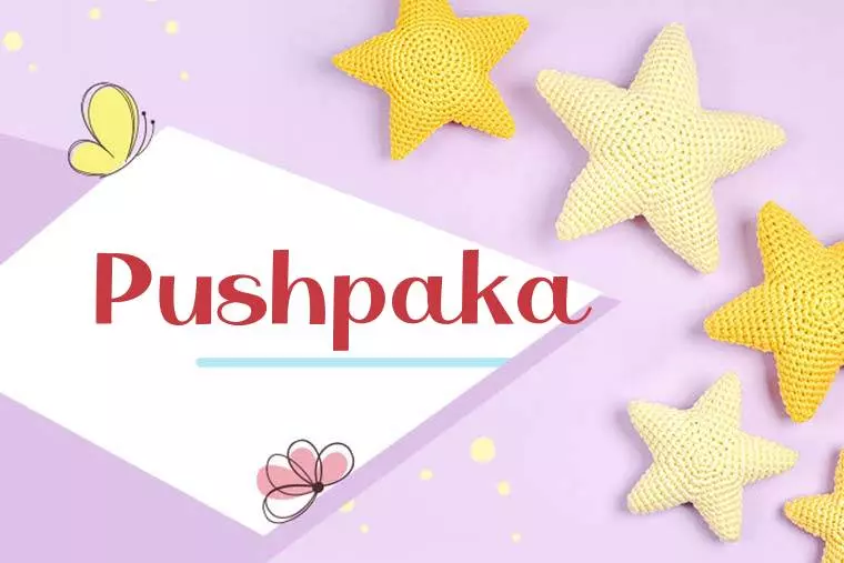 Pushpaka Stylish Wallpaper