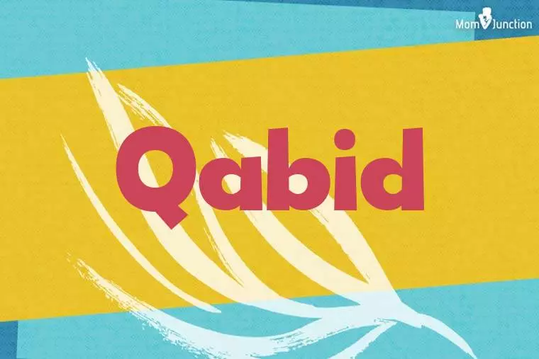 Qabid Stylish Wallpaper