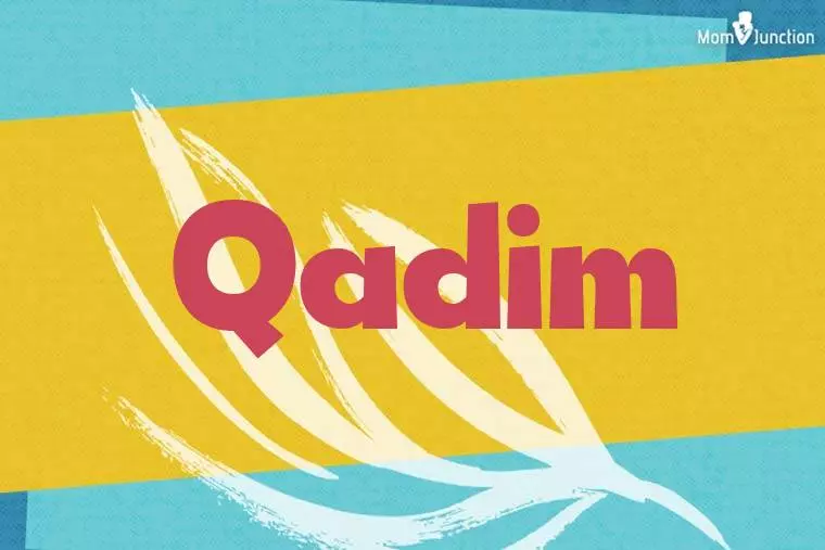 Qadim Stylish Wallpaper