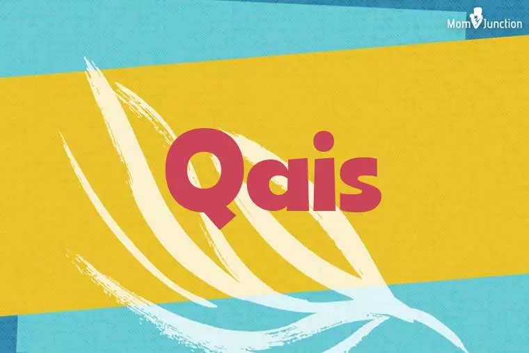 Qais Stylish Wallpaper