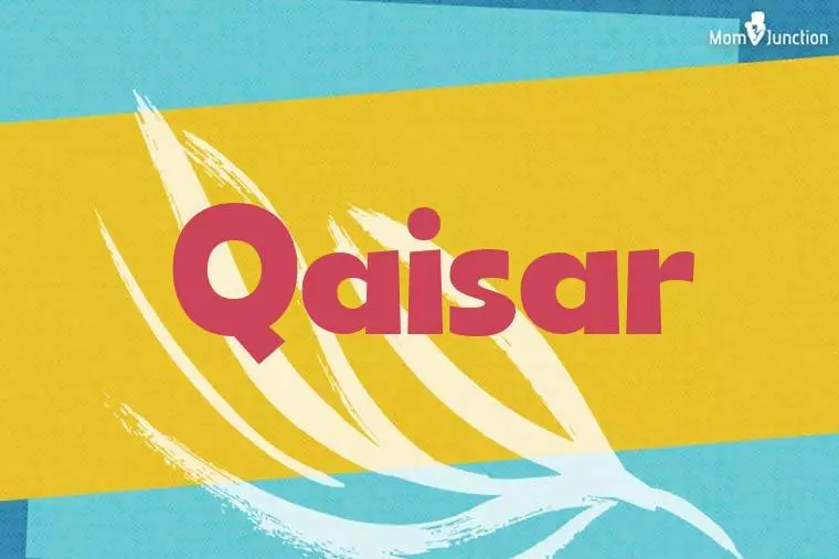 Qaisar Stylish Wallpaper