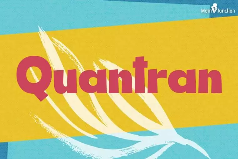 Quantran Stylish Wallpaper