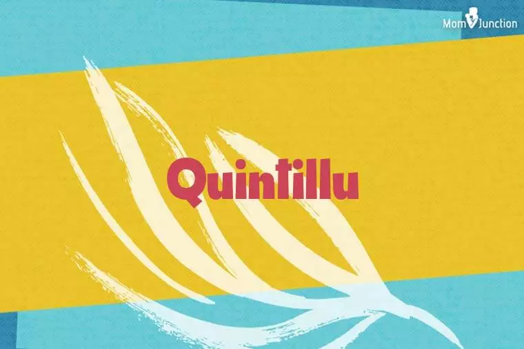 Quintillu Stylish Wallpaper