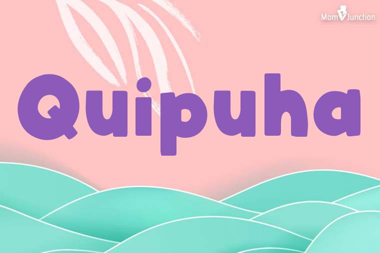 Quipuha Stylish Wallpaper