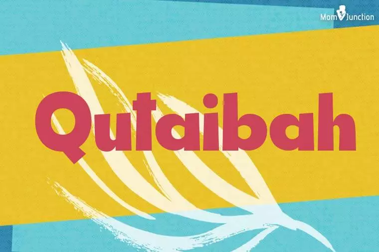 Qutaibah Stylish Wallpaper