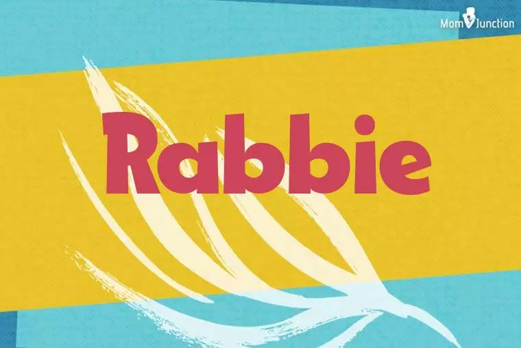 Rabbie Stylish Wallpaper