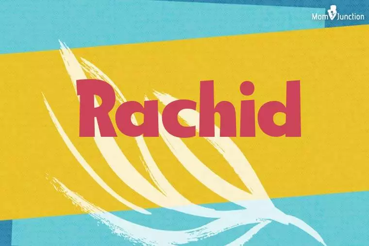 Rachid Stylish Wallpaper