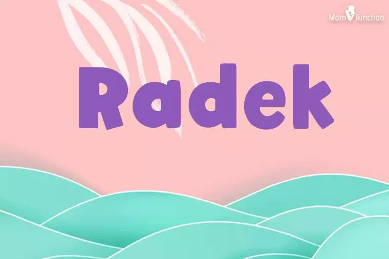 Radek Stylish Wallpaper