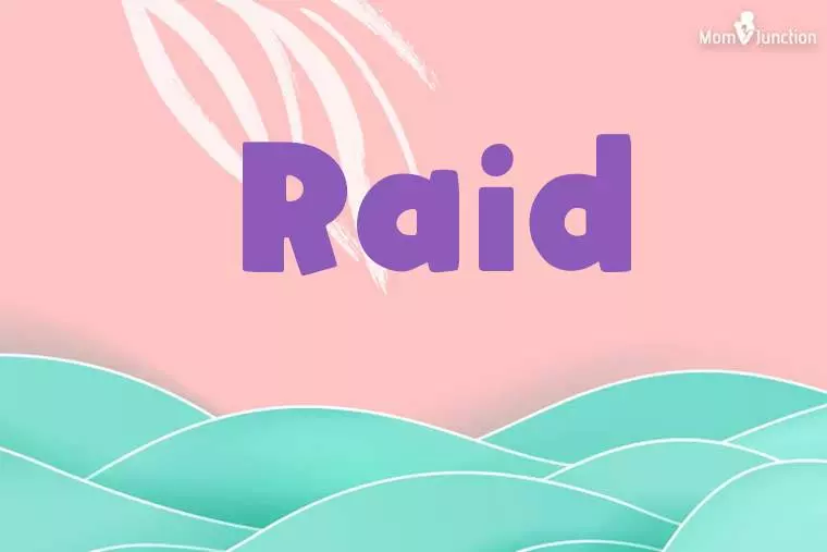 Raid Stylish Wallpaper