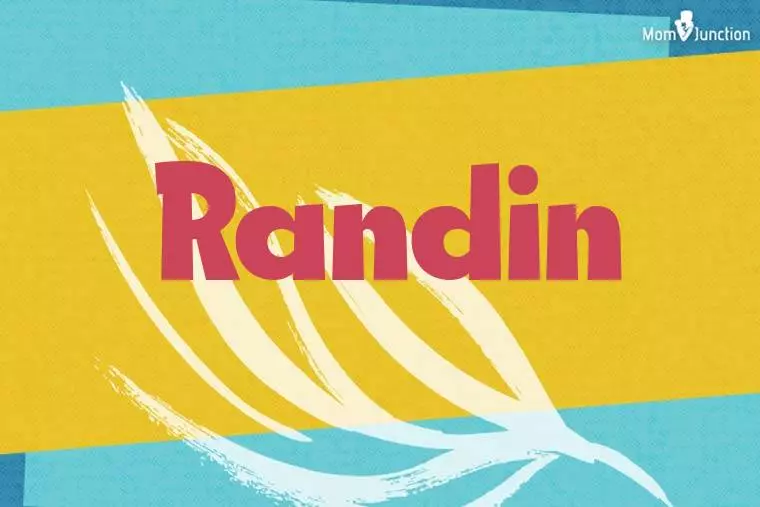 Randin Stylish Wallpaper